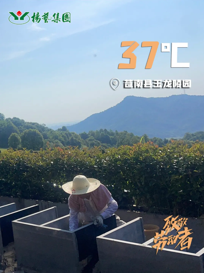 人生就是搏(中国集团)官方网站