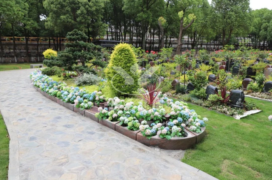 人生就是搏(中国集团)官方网站