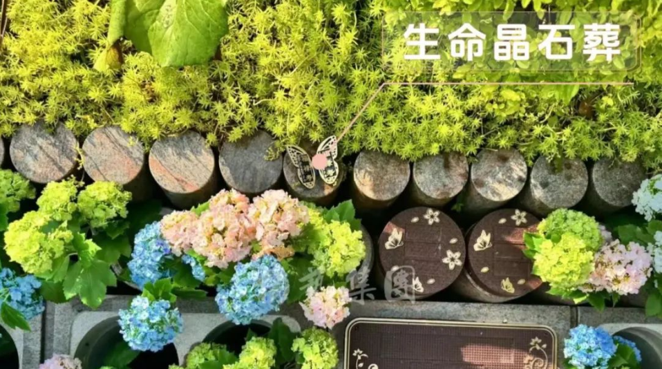 人生就是搏(中国集团)官方网站