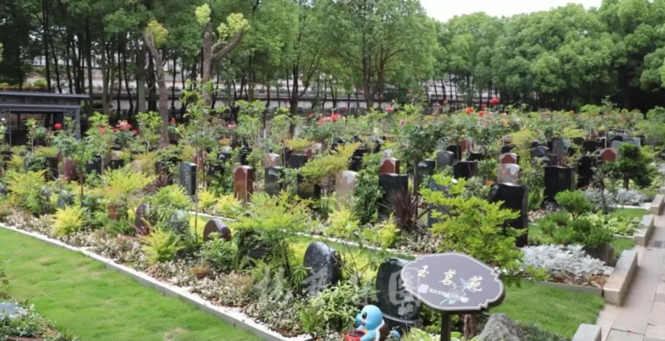 人生就是搏(中国集团)官方网站