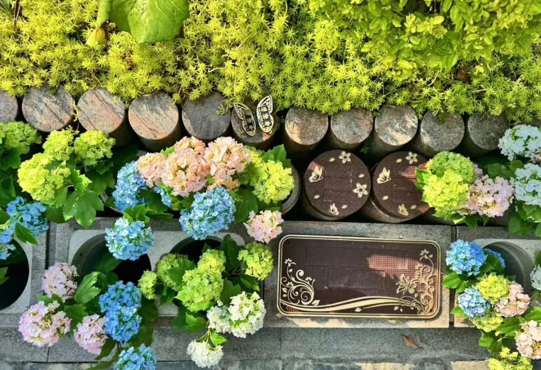 人生就是搏(中国集团)官方网站