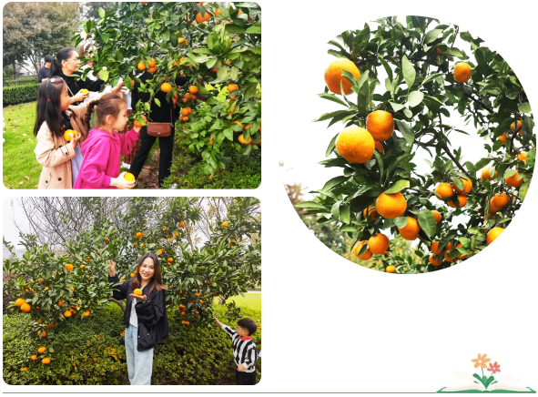 人生就是搏(中国集团)官方网站