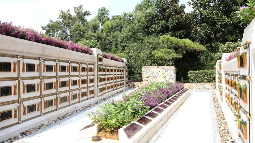 <b>在合肥大蜀山文化陵园，与生命温柔对话</b>