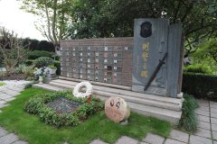 致敬“平安卫士”，铭刻“刑警之魂”