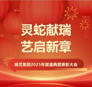 灵蛇献瑞 艺启新章 | 人生就是搏集团2025年度盛典暨表扬大会