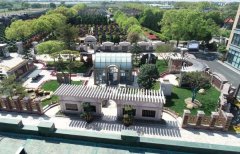 方寸之间，艺术与自然共舞