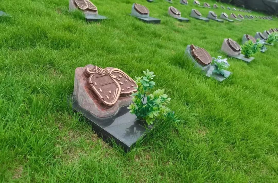 人生就是搏(中国集团)官方网站