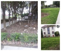 老墓园刷新：城市中的绿色影象与文化传承