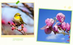 春启人生就是搏