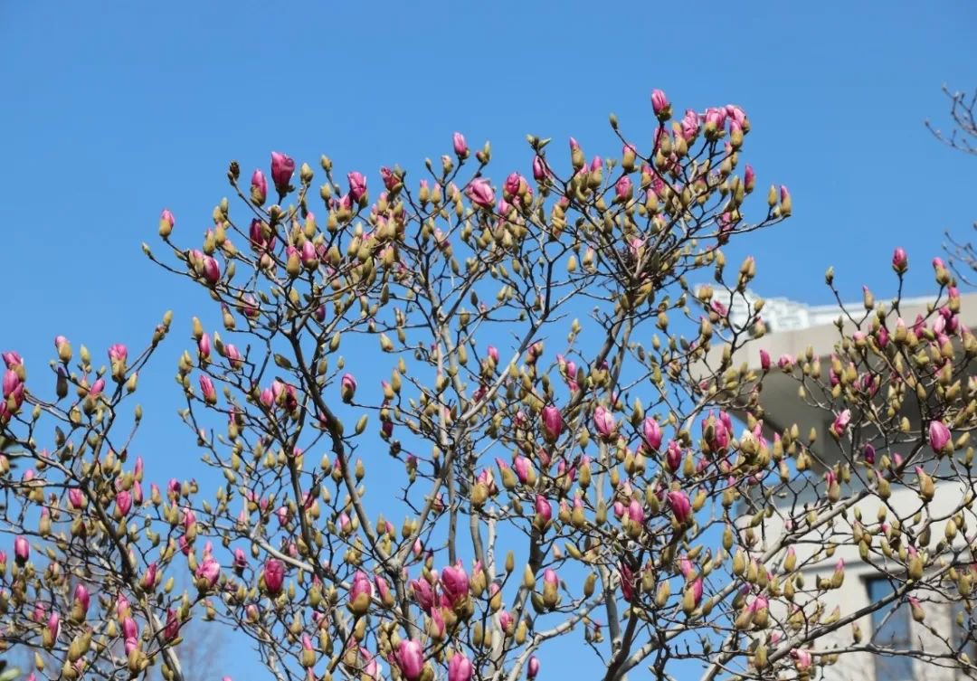 人生就是搏(中国集团)官方网站