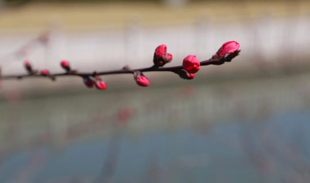 人生就是搏(中国集团)官方网站