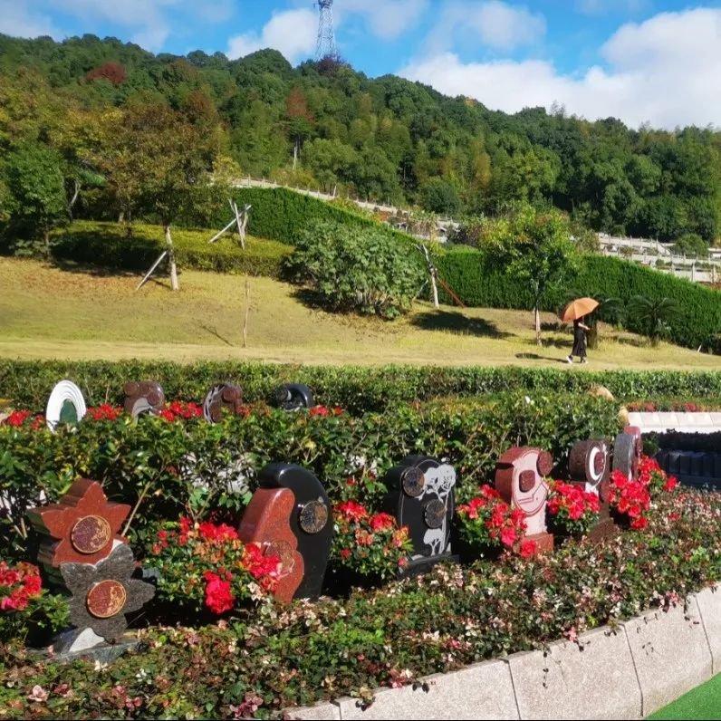 人生就是搏(中国集团)官方网站