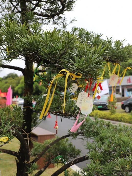 人生就是搏(中国集团)官方网站