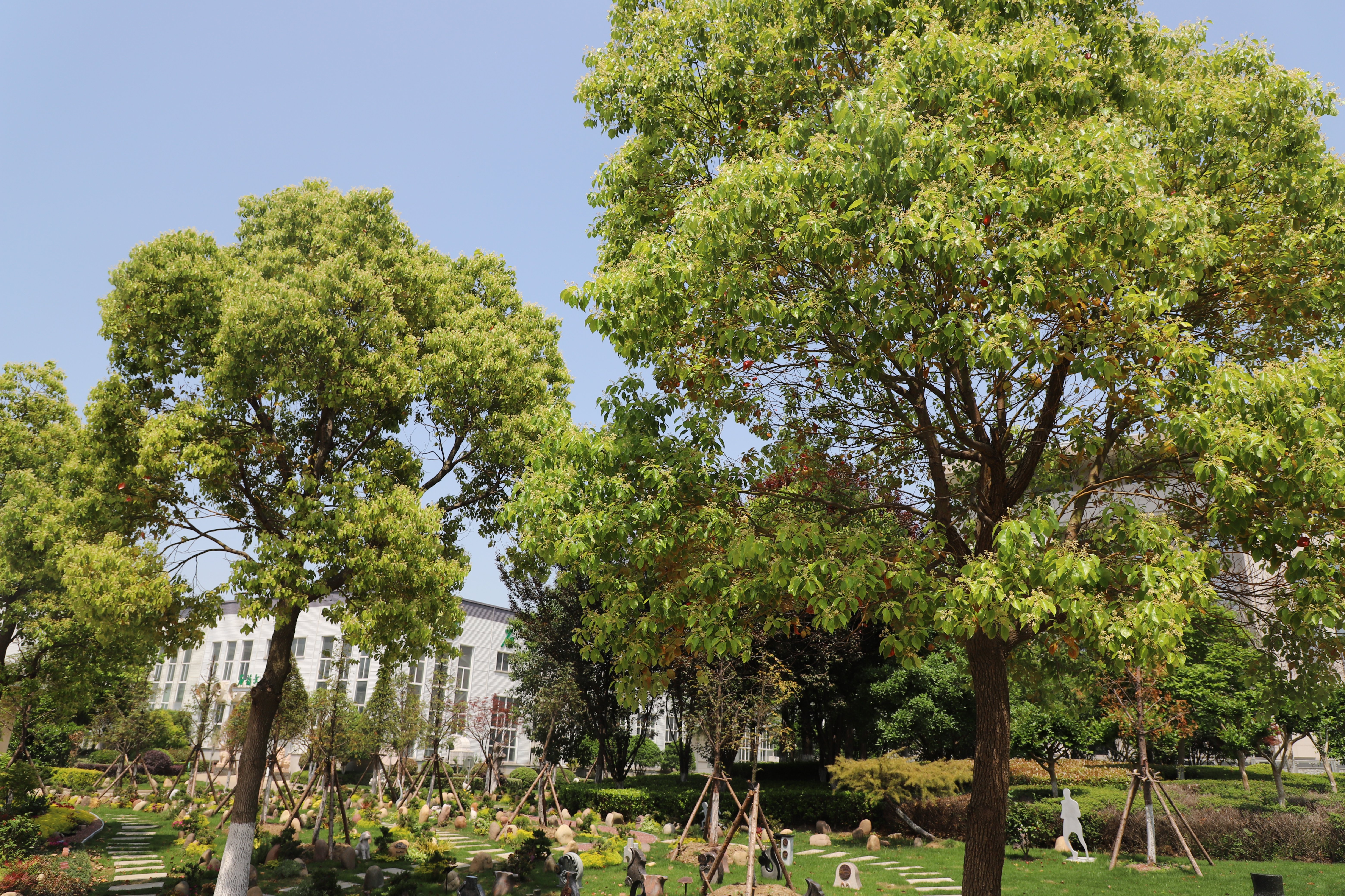 人生就是搏(中国集团)官方网站