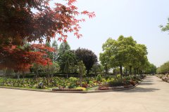 归于林下：一场与自然的温柔重逢