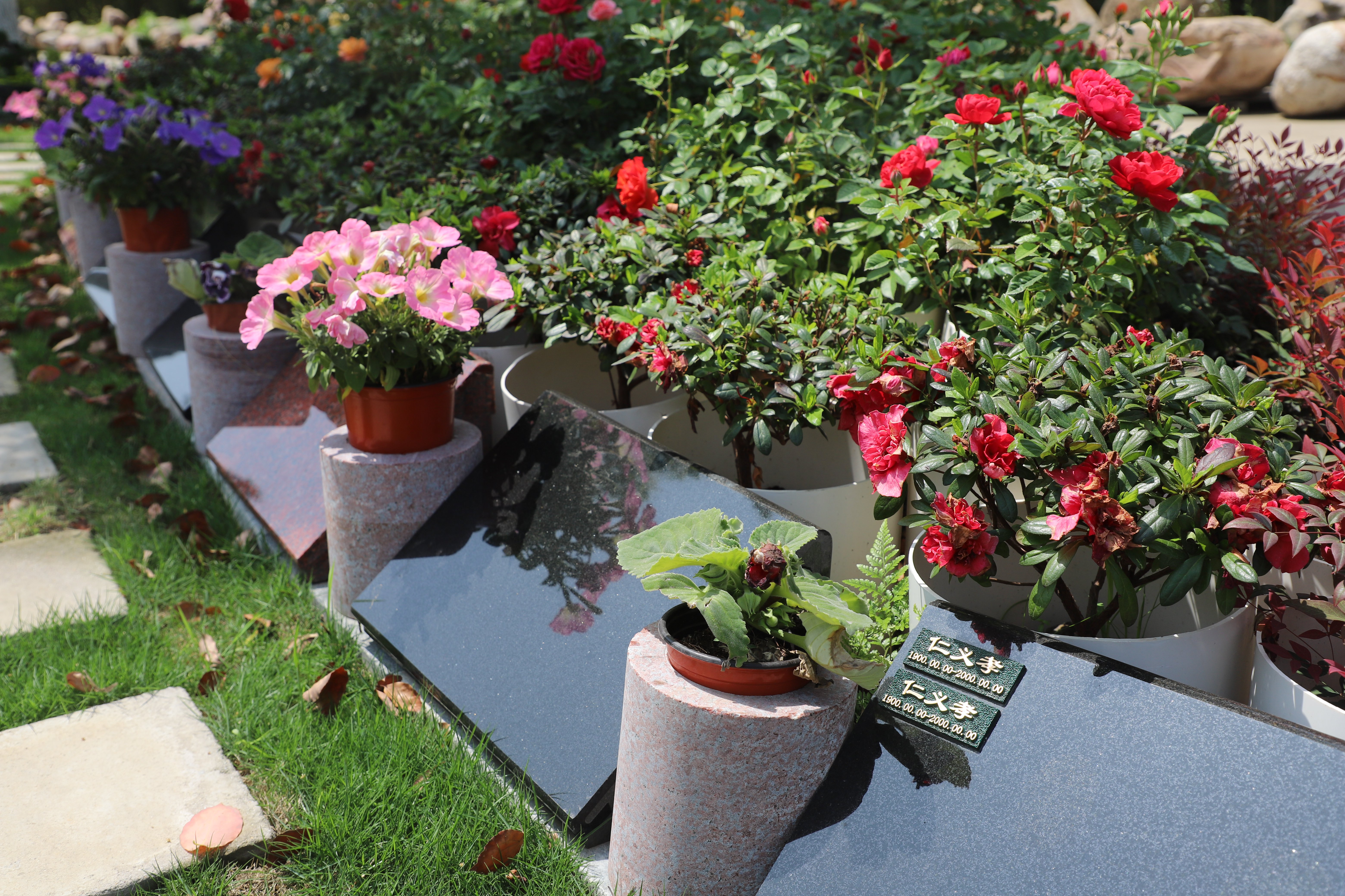 人生就是搏(中国集团)官方网站