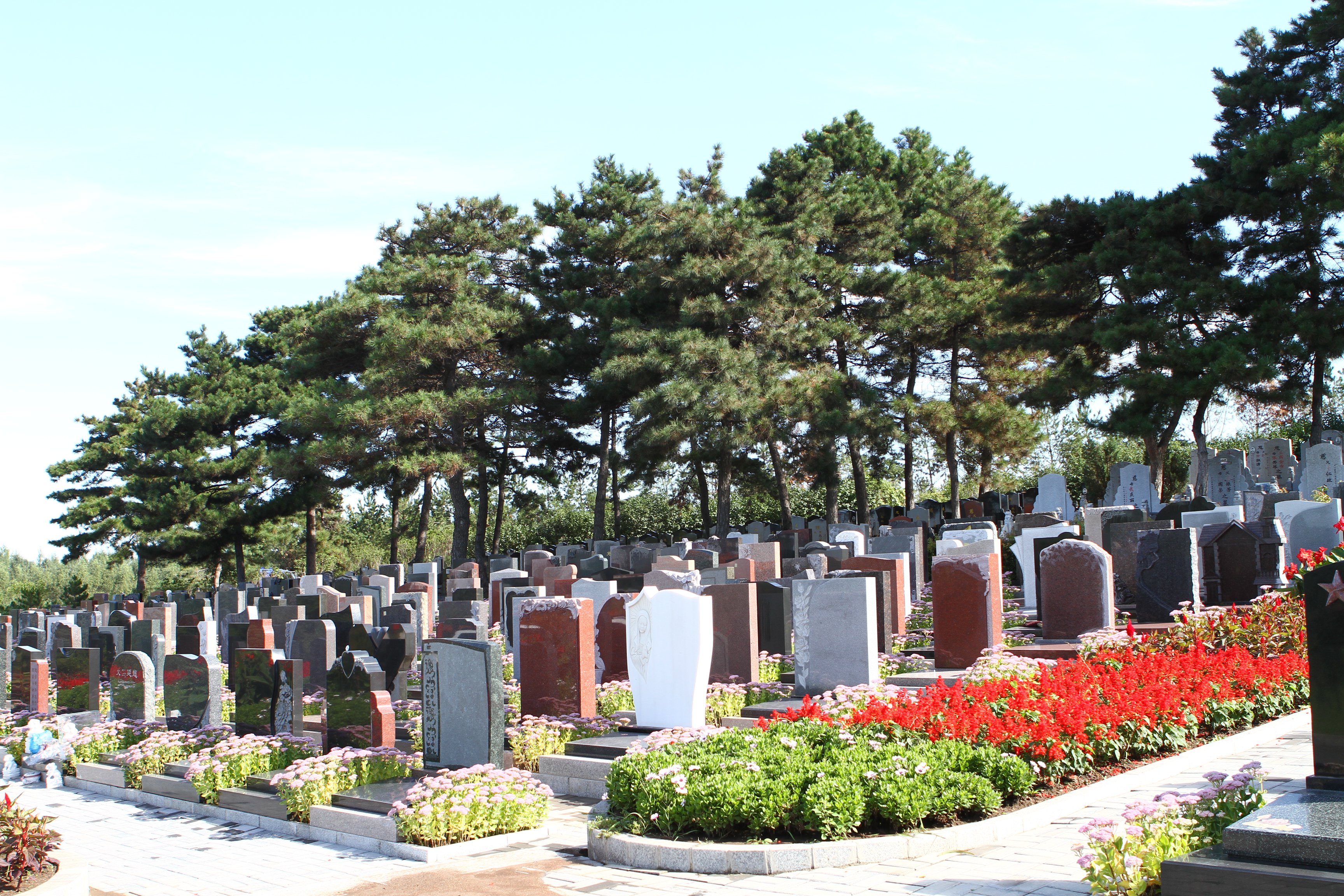 人生就是搏(中国集团)官方网站