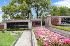 归于自然，泽被后世：：解读现代生态葬及其立异趋势