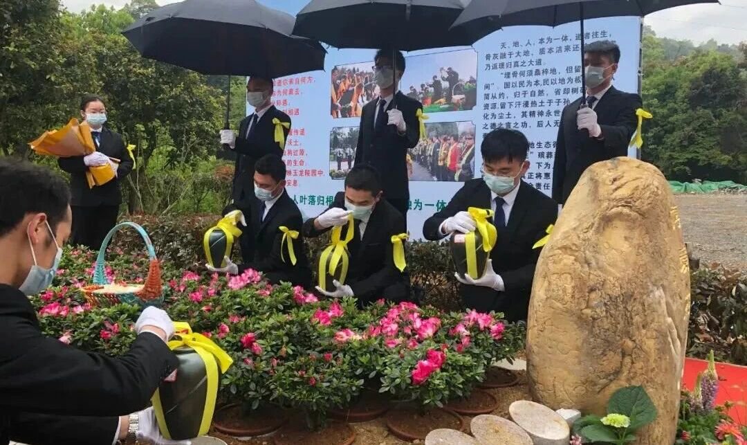 人生就是搏(中国集团)官方网站