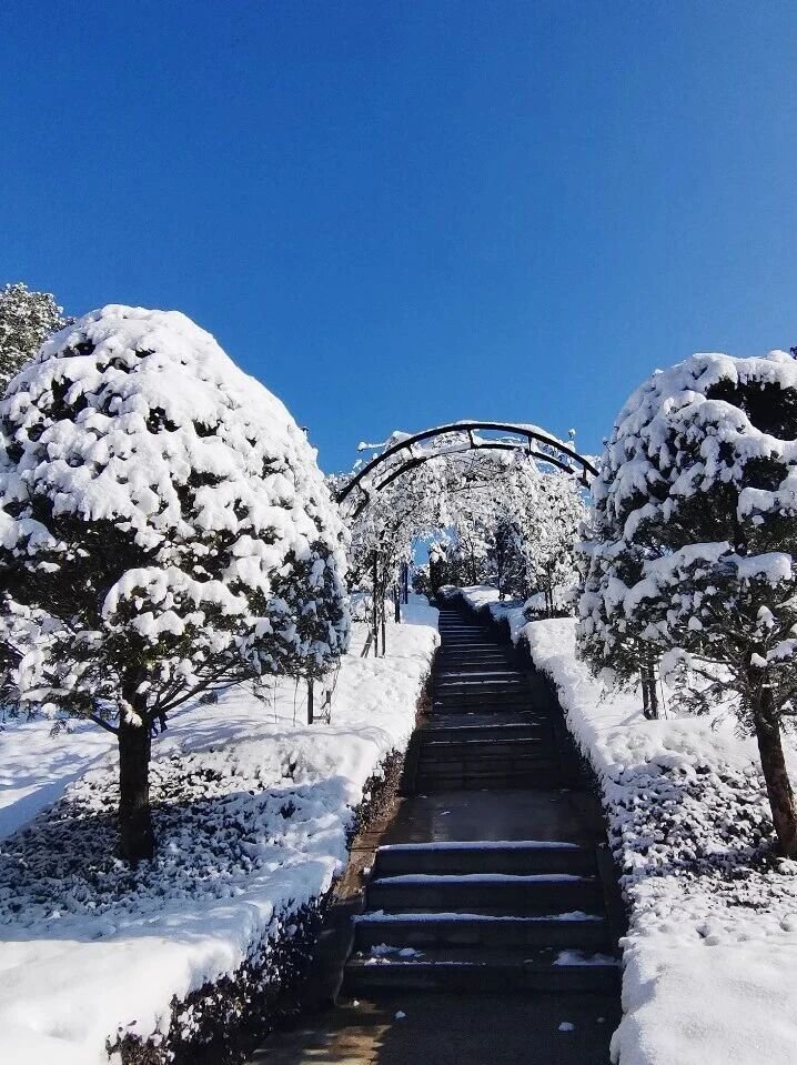 人生就是搏(中国集团)官方网站