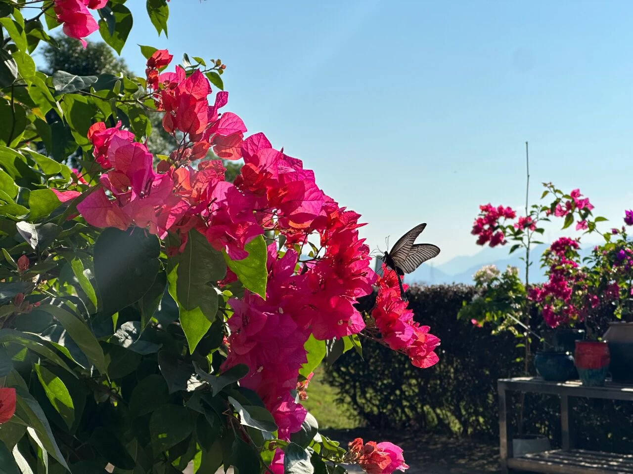 人生就是搏(中国集团)官方网站