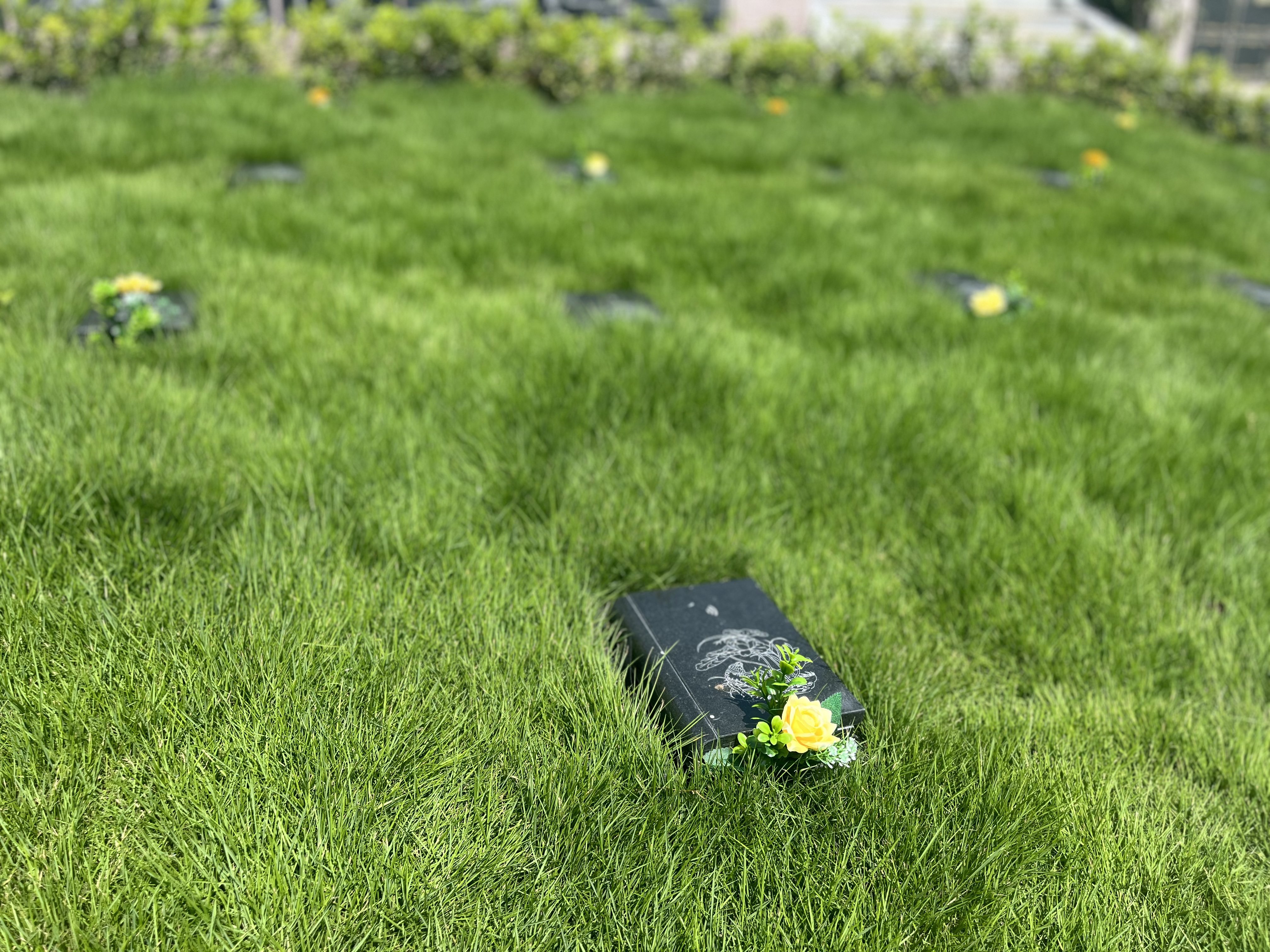 人生就是搏(中国集团)官方网站