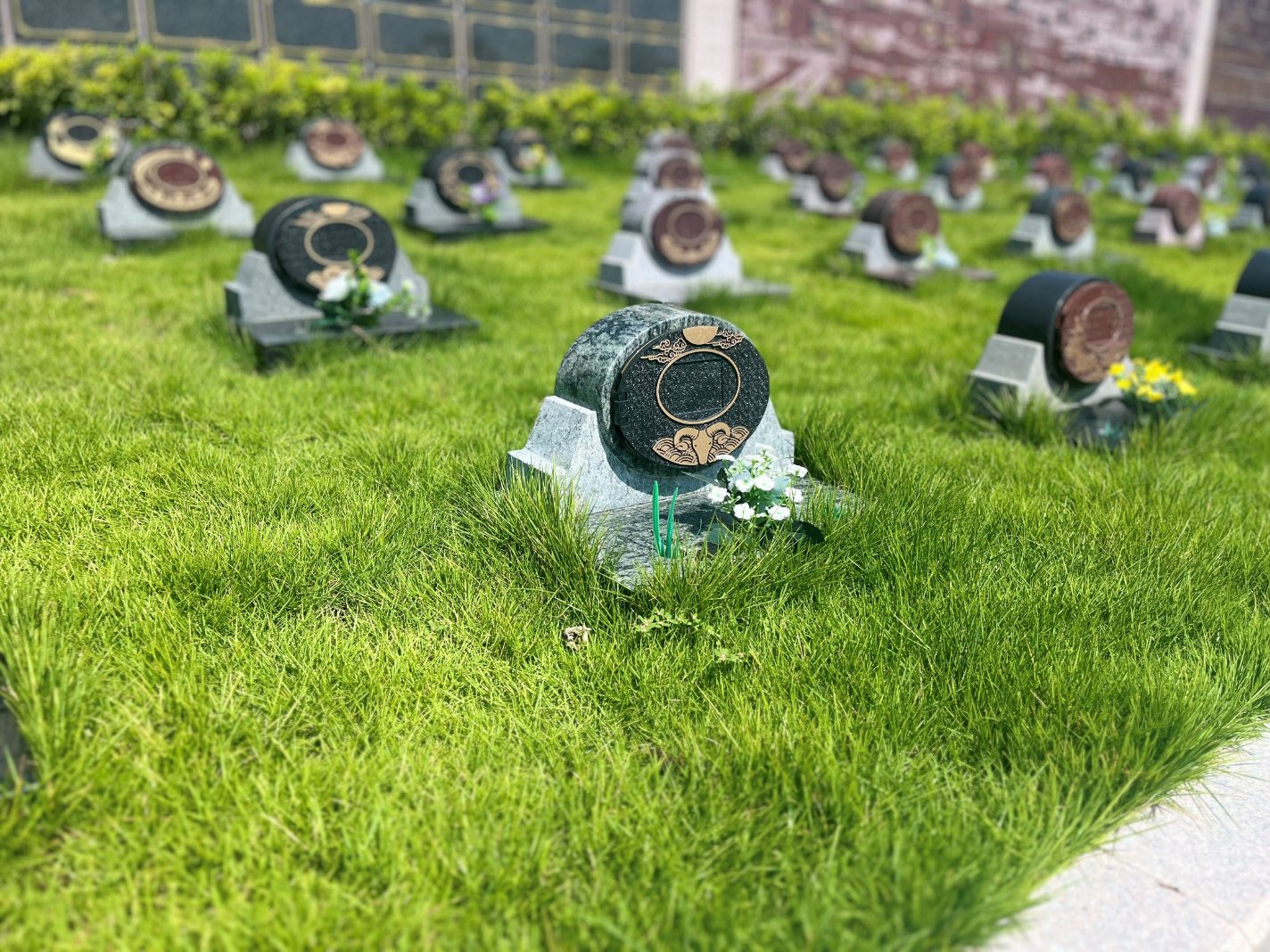 人生就是搏(中国集团)官方网站